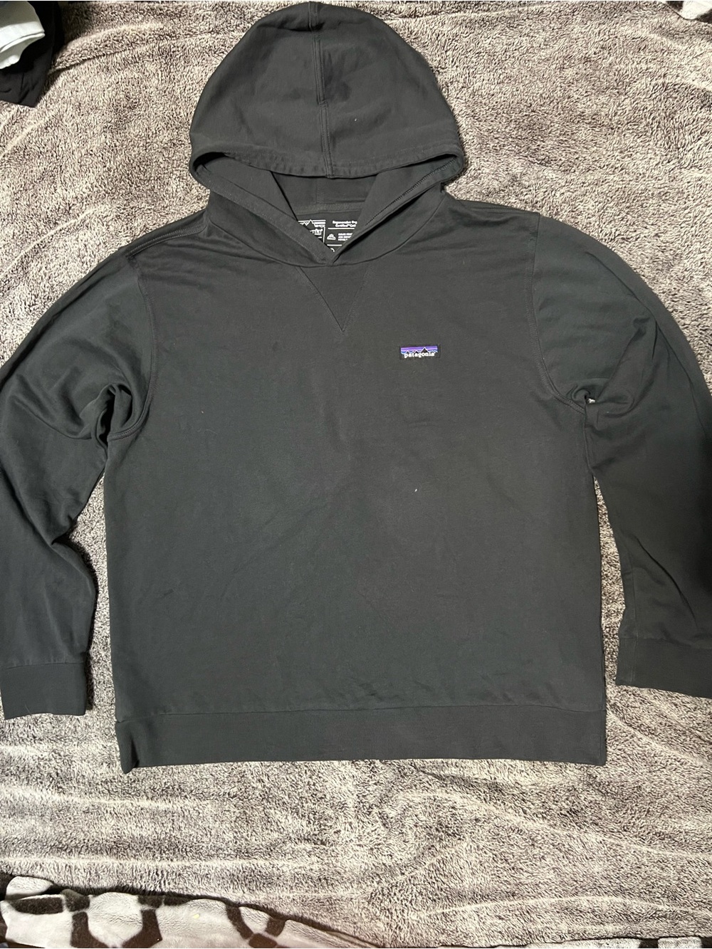 Patagonia hoodie